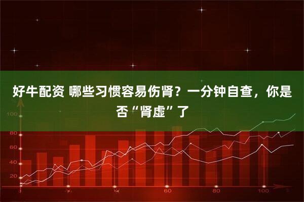 好牛配资 哪些习惯容易伤肾？一分钟自查，你是否“肾虚”了